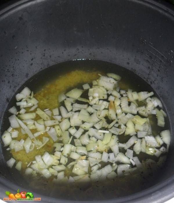 Суп из консервы в мультиварке. Как приготовить консерву из щуки в мультиварке.