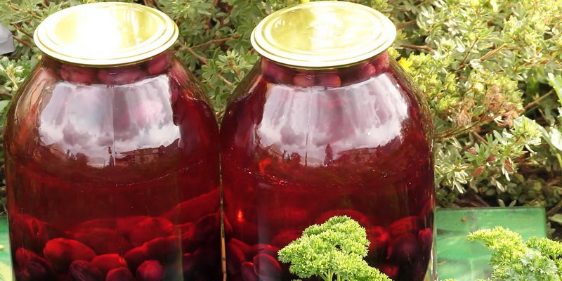 Готовим сок и компот из винограда на зиму: домашние рецепты фото