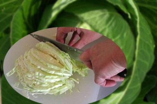 Можно ли заморозить нашинкованную белокочанную капусту?. Как заморозить белокочанную капусту