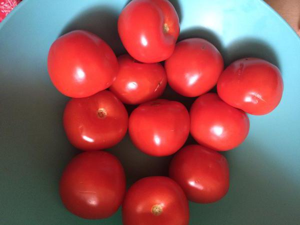 рецепт квашеных помидоров в кастрюле