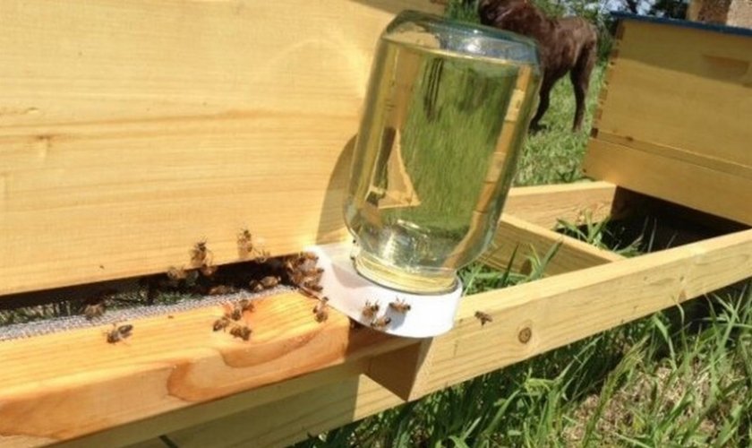 Подкормка пчёл сиропом