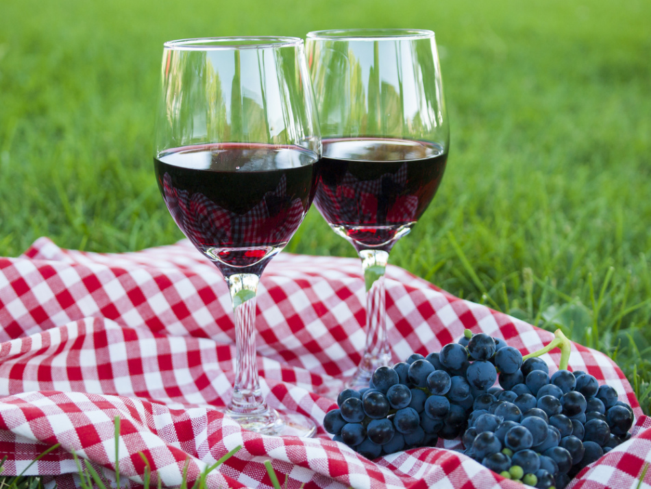 Пара бокалов домашнего вина и гроздь винограда изабелла
