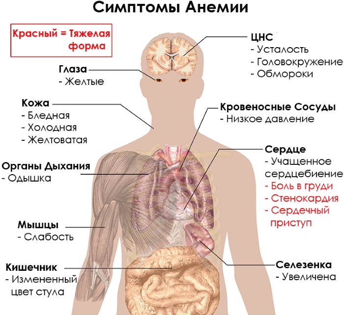 Куркума. Польза и вред, как принимать в лечебных целях, для похудения, здоровья суставов, волос, лица. Рецепты