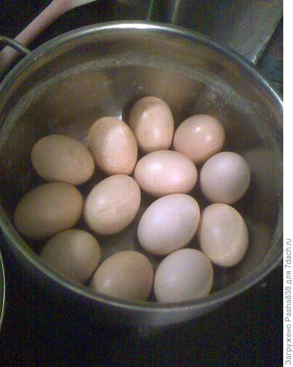 К этому делу я наварил яиц. Лучше не брать чересчур свежие яйца, вынутые только что из под курицы, а взять те. что лежали с неделю в холодильнике - потому что чересчур свежие яйца плохо и неровно чистятся. Вообще по количеству пожалуй даже мне многовато, яйца достаточно калорийная вещь, но уж я сварил сколько сварил, буду есть несколько дней.