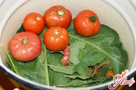 подготовка огурцов и помидоро к закрутке