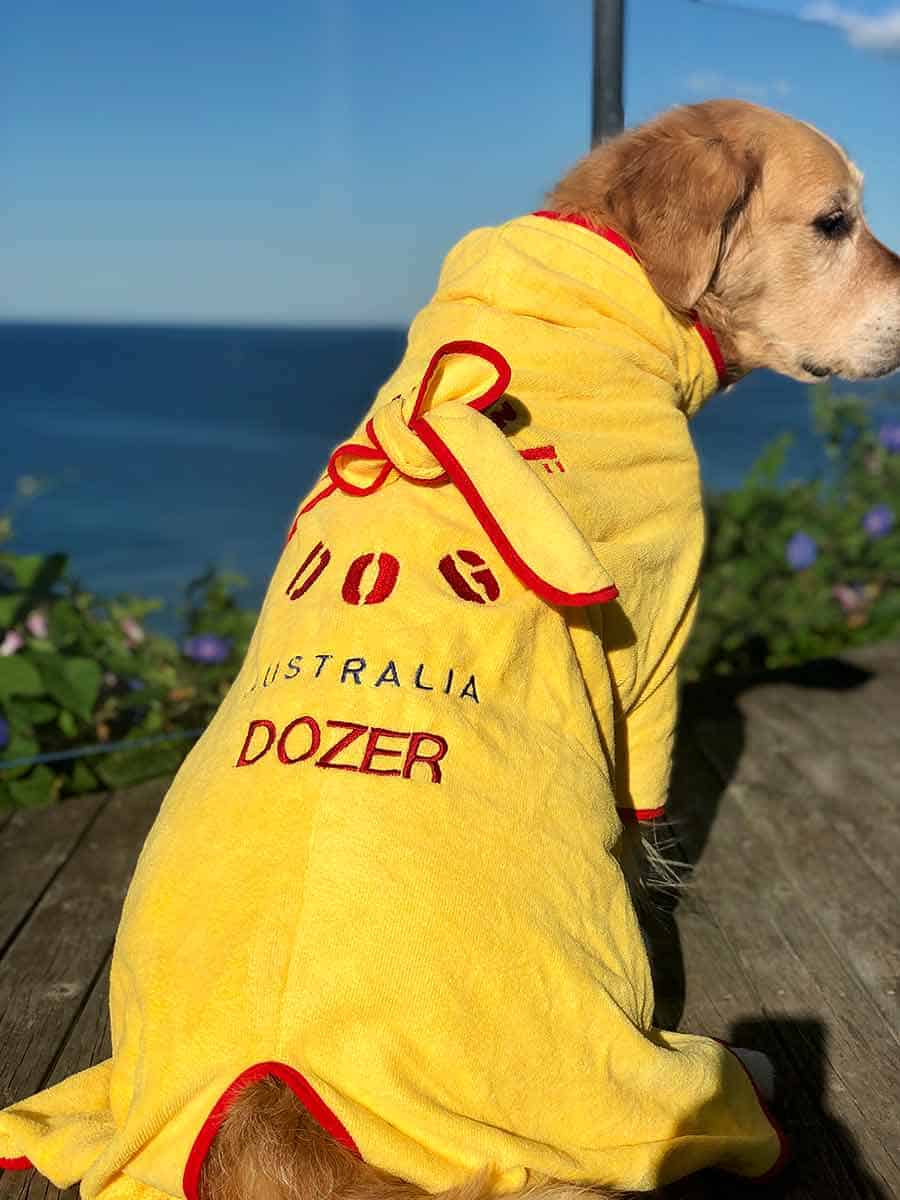 Dozer golden retriever dog name on bath robe