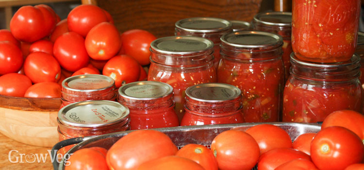 “Tomatoes