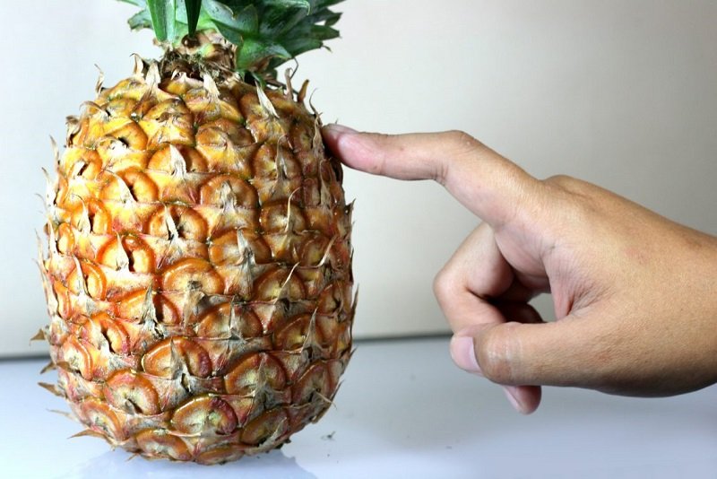 как правильно выбрать спелый ананас