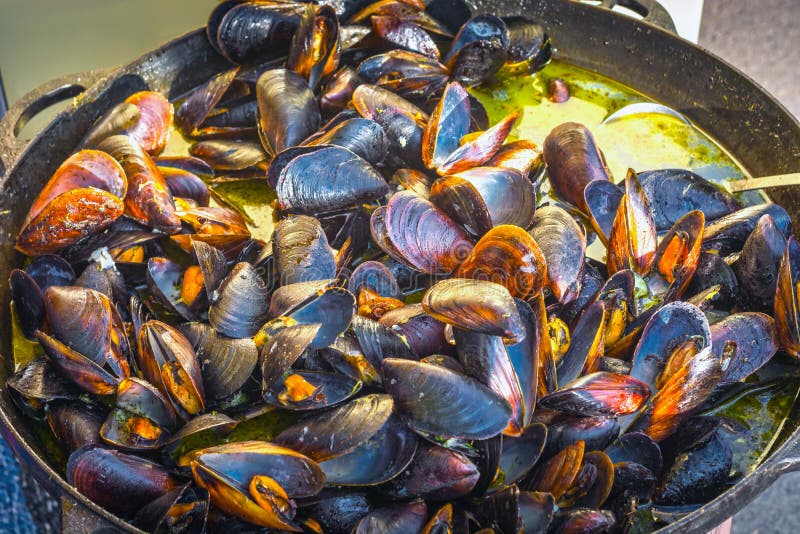 Mussels in shell are cooked in a vat filled with soup stock images