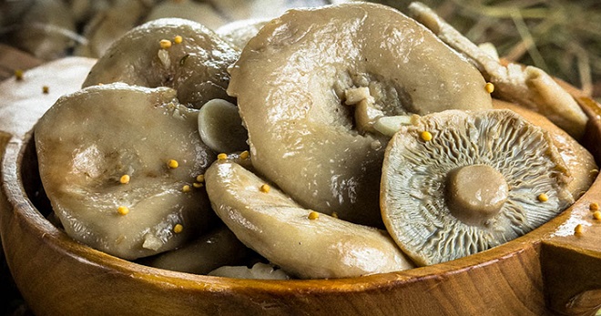 Как солить грузди - самые лучшие рецепты грибных заготовок