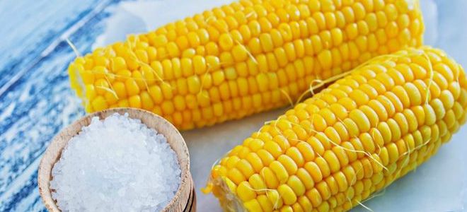 как варить кукурузу с сахаром