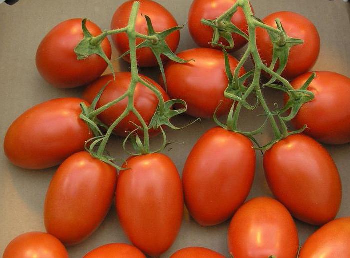 помидоры квашеные в кастрюле быстрые