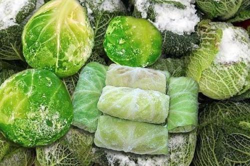 Как заморозить капусту белокочанную на зиму в домашних условиях. Варианты заморозки в домашних условиях на зиму